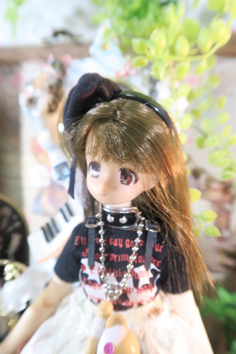 orange_pekoe_6_2017_1_29_IIMG_5995
