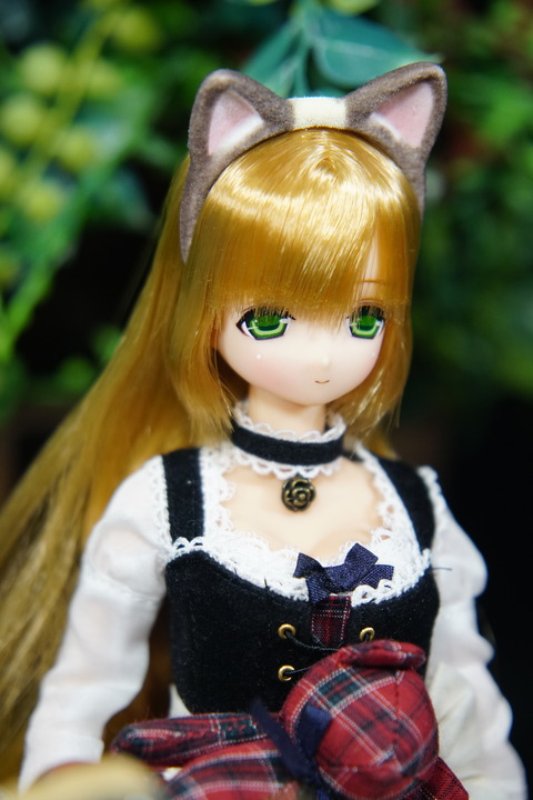 orange_pekoe_3_2020_1_21_DSC03704