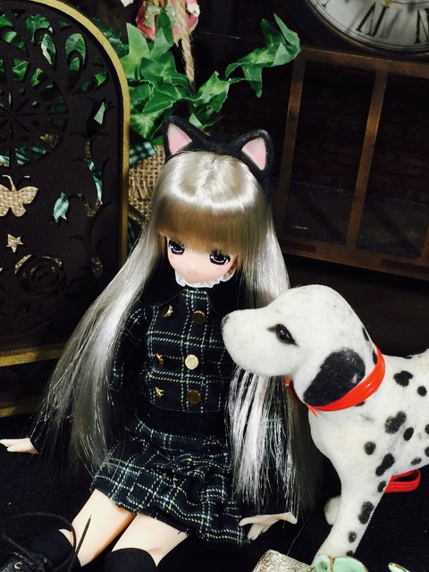 orange_pekoe_3_2020_1_6_IMG_8379
