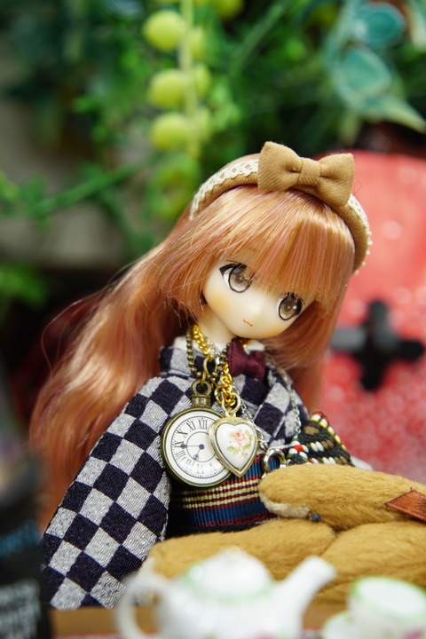 orange_pekoe_3_2021_2_19_DSC01504