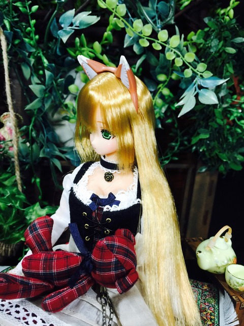 orange_pekoe_6_2018_6_12_IMG_0467