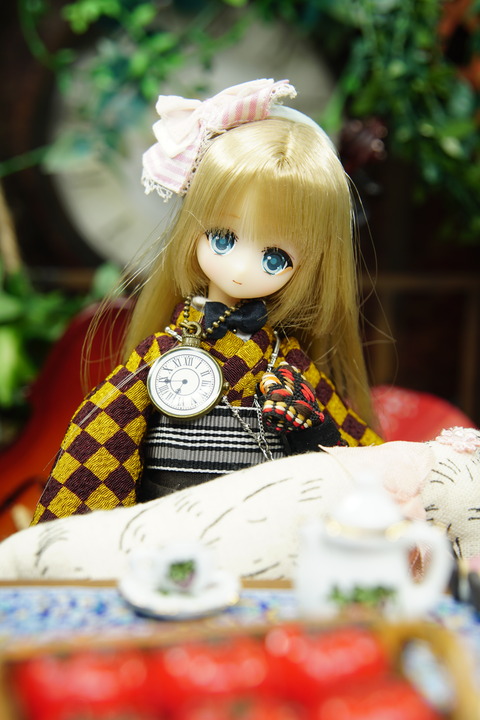 orange_pekoe_3_2020_6_22_DSC09110
