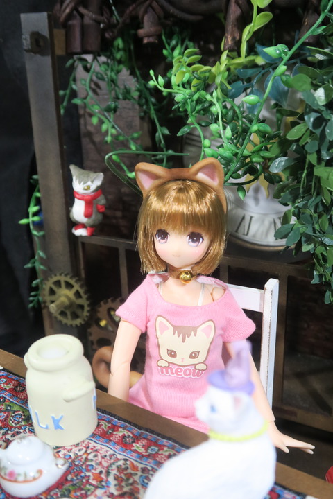 orange_pekoe_5_2017_4_23_IMG_6823