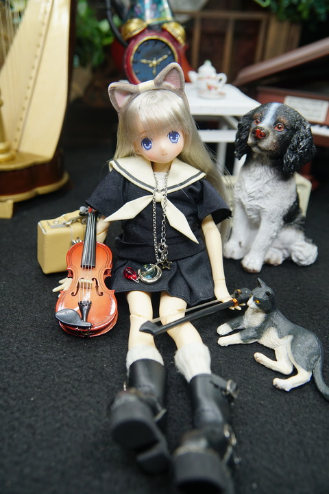 orange_pekoe_2_2021_2_11_DSC07106