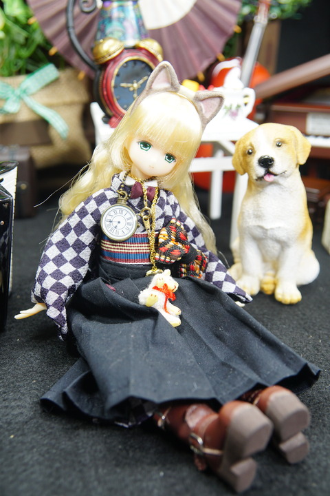 orange_pekoe_5_2020_2_10_DSC05652