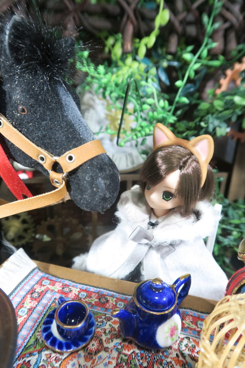 orange_pekoe_5_2017_4_26_IMG_6936