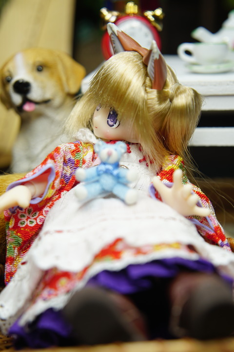 orange_pekoe_5_2020_1_7_DSC03752