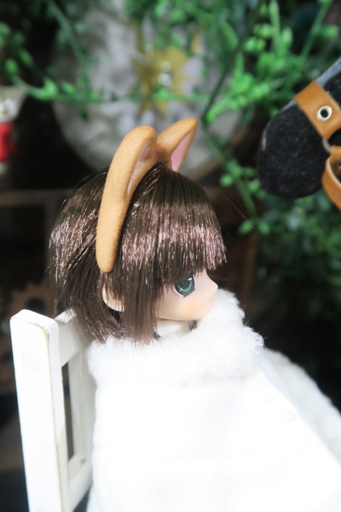 orange_pekoe_3_2017_4_23_IMG_6970