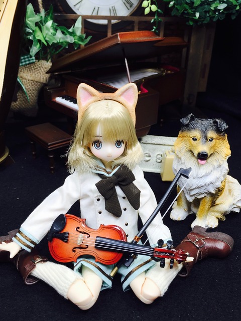 orange_pekoe_5_2019_11_30_IMG_6702