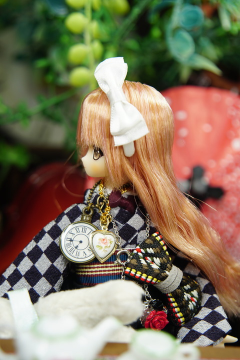 orange_pekoe_6_2020_8_19_DSC01562