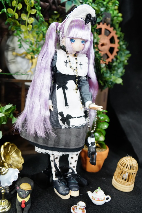 orange_pekoe_5_2020_6_24_DSC01706