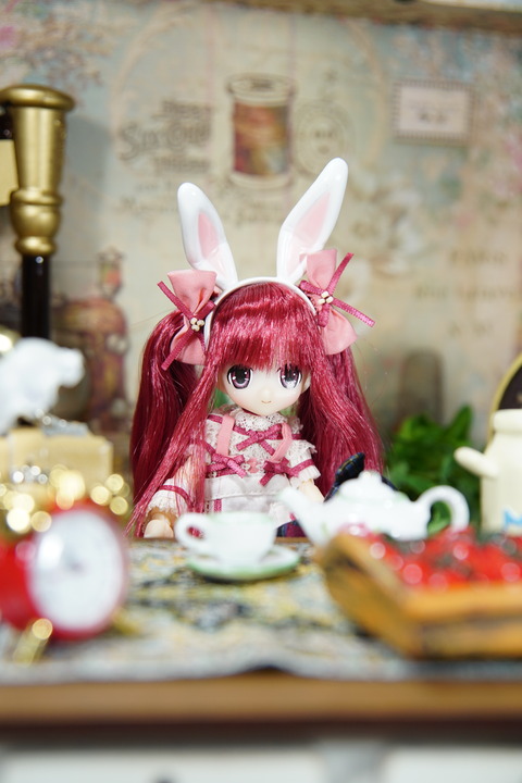 orange_pekoe_8_2018_8_29_DSC07092