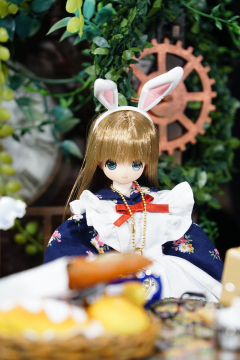 orange_pekoe_4_2019_12_27_DSC03196