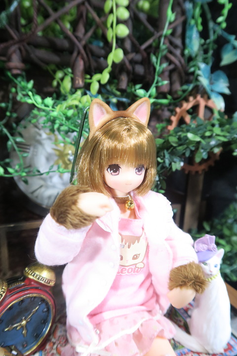 orange_pekoe_2_2017_4_30_IMG_6877