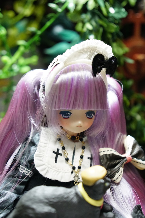 orange_pekoe_2_2020_5_24_DSC01680
