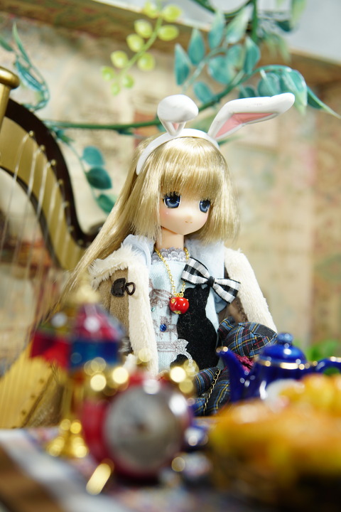 orange_pekoe_4_2019_12_28_DSC06576