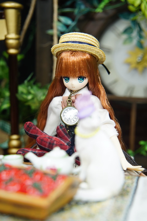 orange_pekoe_3_2019_9_28_DSC09386