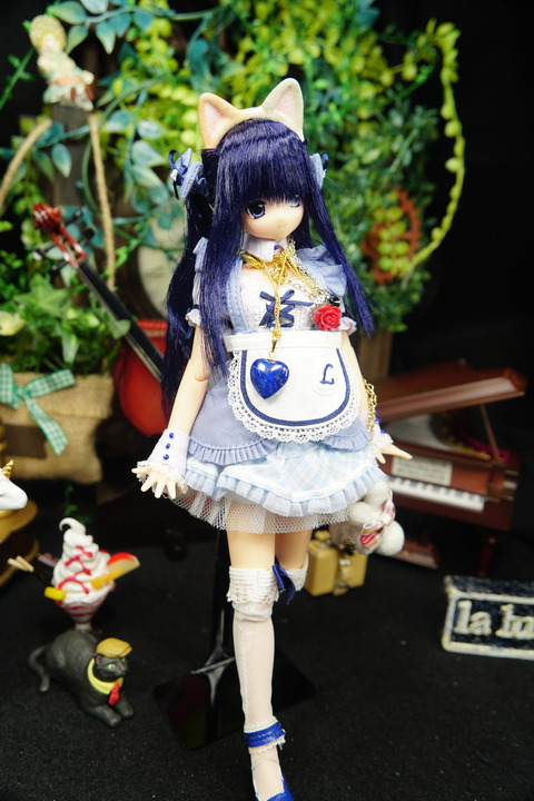 orange_pekoe_8_2020_12_31_DSC05488