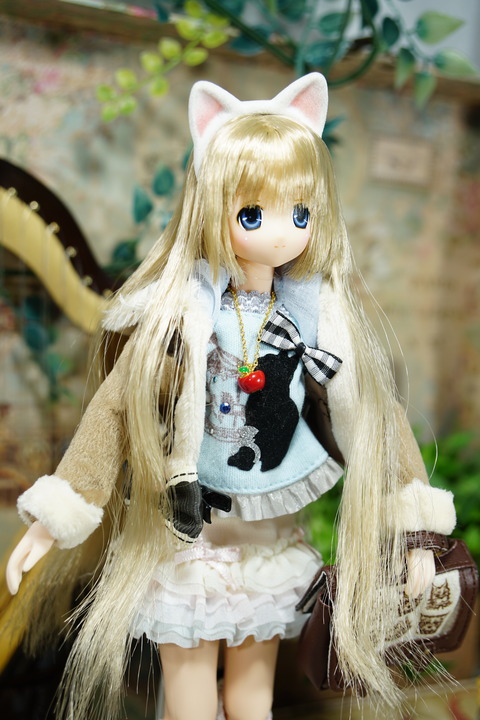 orange_pekoe_8_2019_12_28_DSC06767
