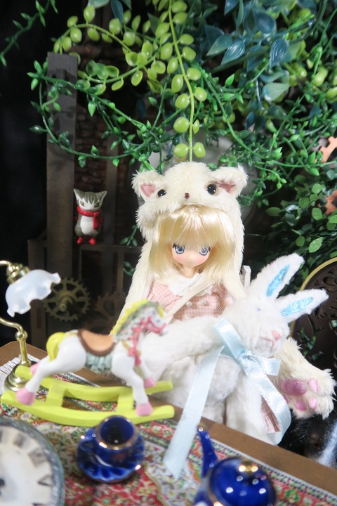 orange_pekoe_8_10_26_IMG_4071