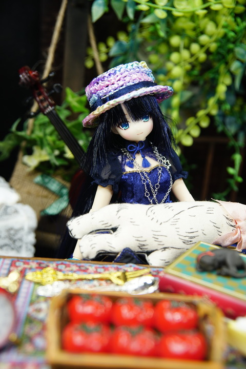 orange_pekoe_3_2020_6_20_DSC08668