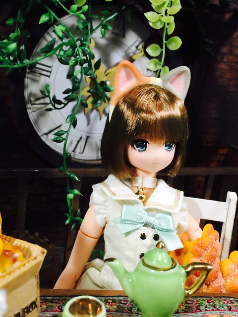 orange_pekoe_5_2017_8_24_IMG_4821