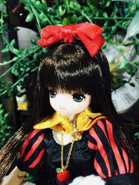 orange_pekoe_7_2020_4_30_IMG_3537