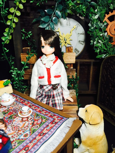 orange_pekoe_3_2016_7_22_IMG_6682