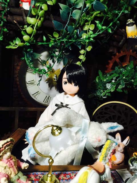 orange_pekoe_6_2016_7_24_IMG_8336