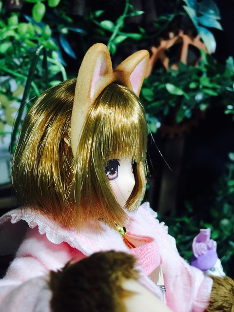 orange_pekoe_5_2020_2_21_IMG_3229