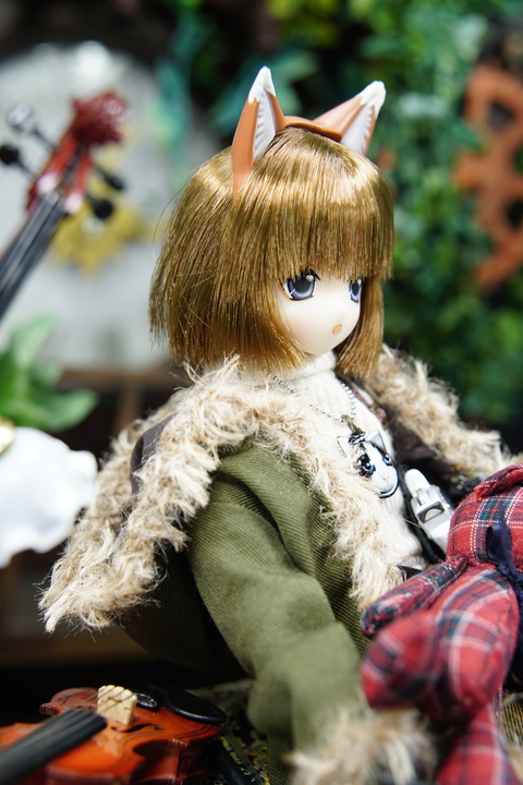 orange_pekoe_7_2019_7_18_DSC06360