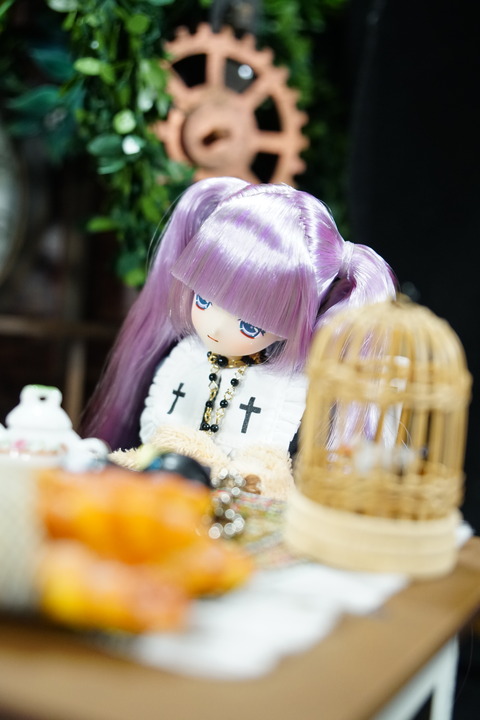 orange_pekoe_6_2020_6_24_DSC01531