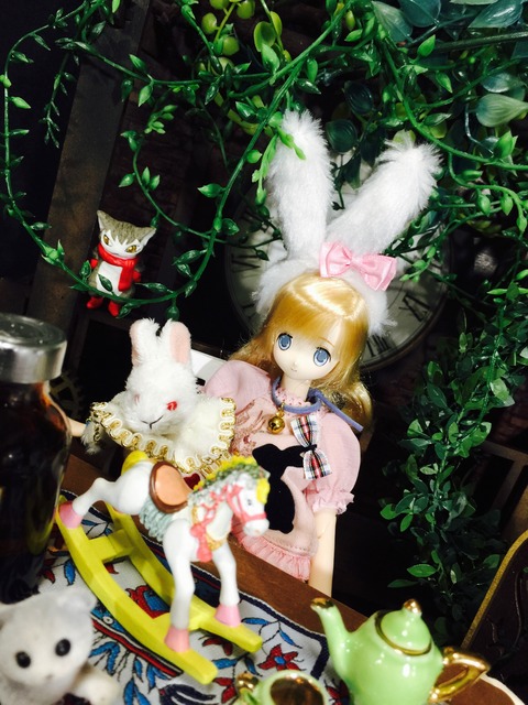 orange_pekoe_7_2019_5_14_IMG_9315