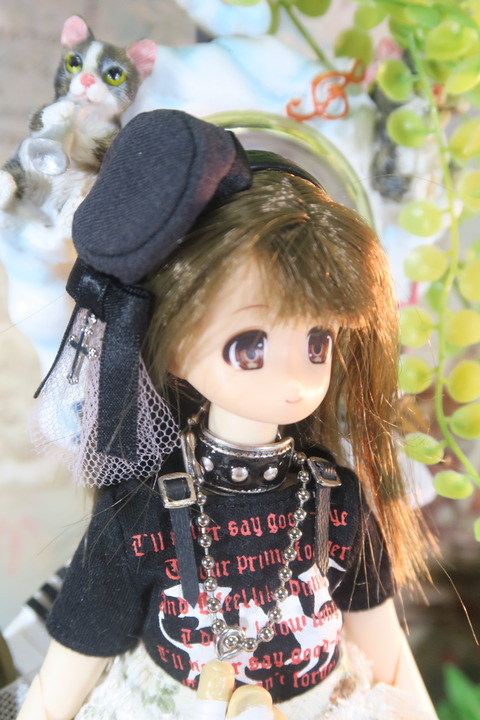 orange_pekoe_5_2017_8_30_IMG_6023