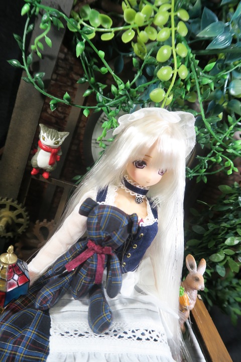 orange_pekoe_1_2_3_2019_10_29_IMG_4011