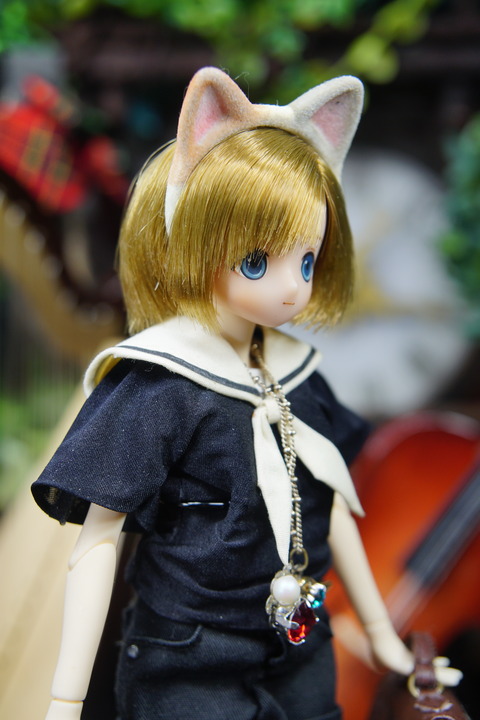 orange_pekoe_6_2020_11_13_DSC04790
