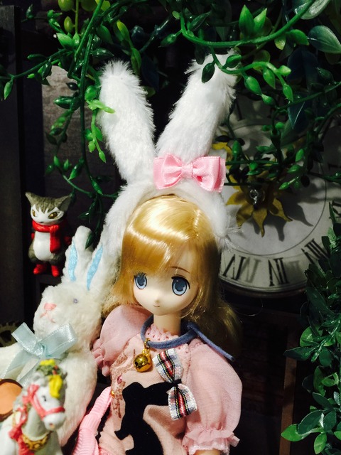 orange_pekoe_5_2019_5_14_IMG_9318