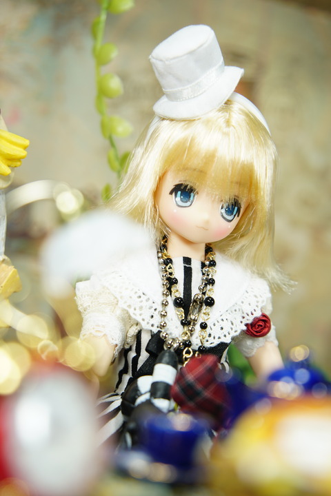 orange_pekoe_4_2020_1_3_DSC05873