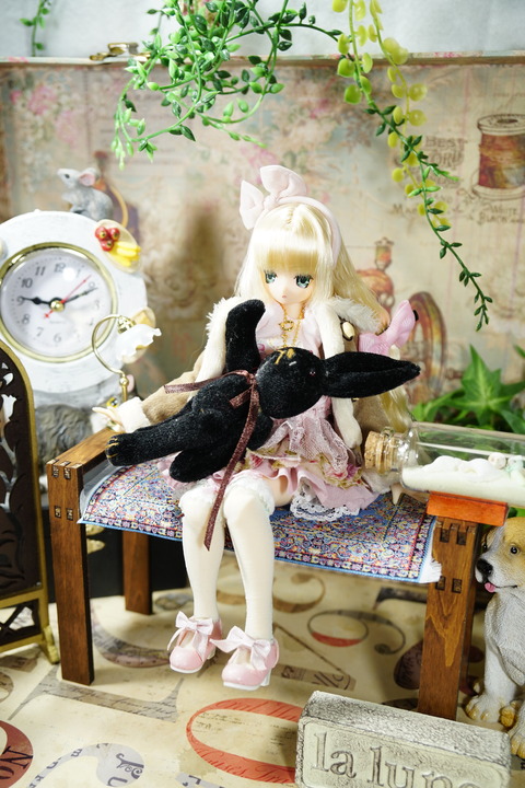 orange_pekoe_8_2020_1_24_DSC02474