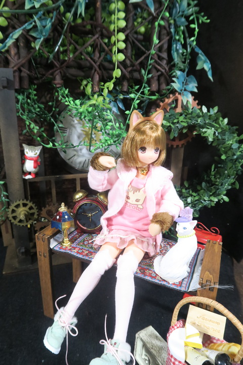 orange_pekoe_6_2017_4_30_IMG_6882