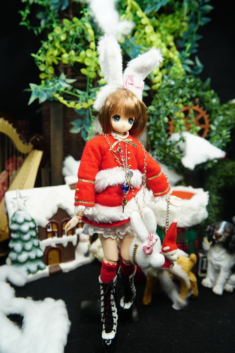 orange_pekoe_3_2019_12_22_DSC06276