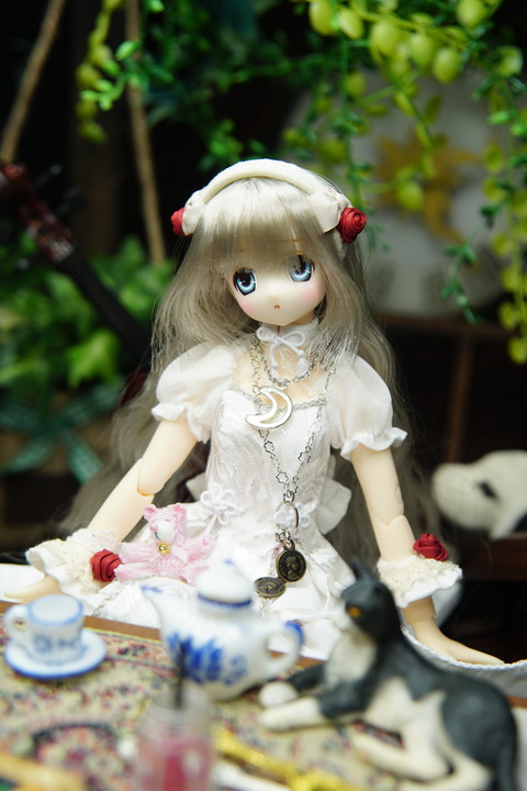 orange_pekoe_6_2020_4_1_DSC05981