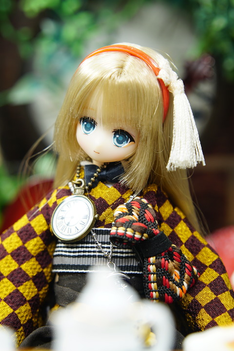 orange_pekoe_6_2020_6_23_DSC09069