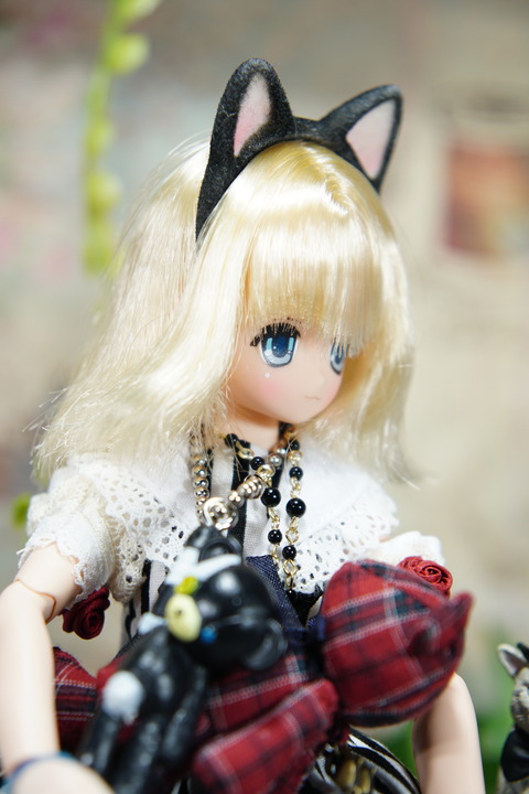 orange_pekoe_7_2020_7_24_DSC06033