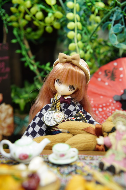 orange_pekoe_2_2020_8_19_DSC01502