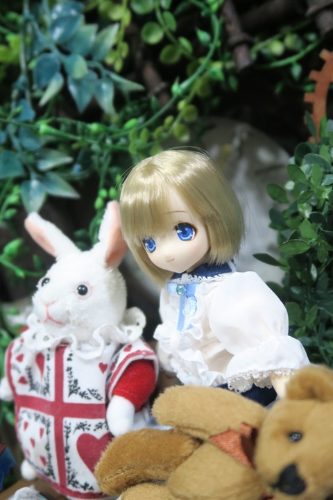 orange_pekoe_7_2019_7_24_IMG_3144