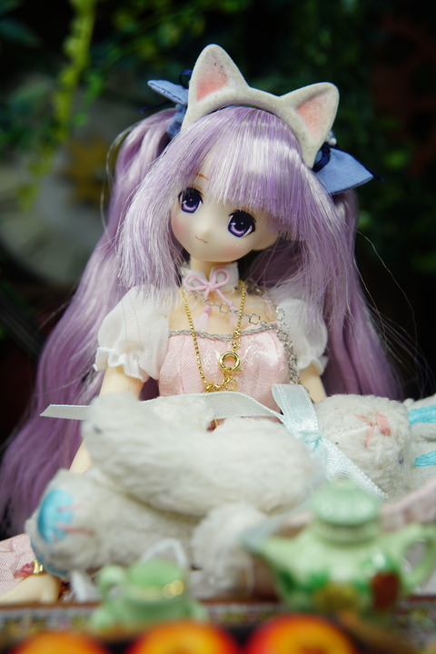 orange_pekoe_7_2020_4_20_DSC06832