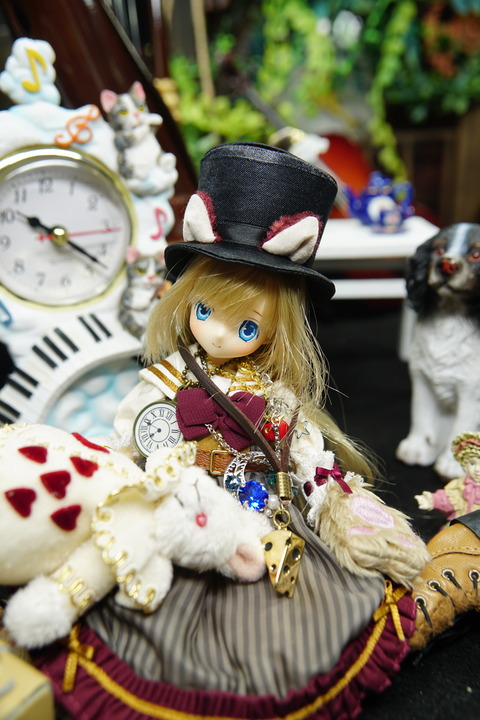 orange_pekoe_5_2020_6_27_DSC09549