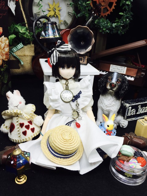 orange_pekoe_5_2020_12_17_IMG_9223