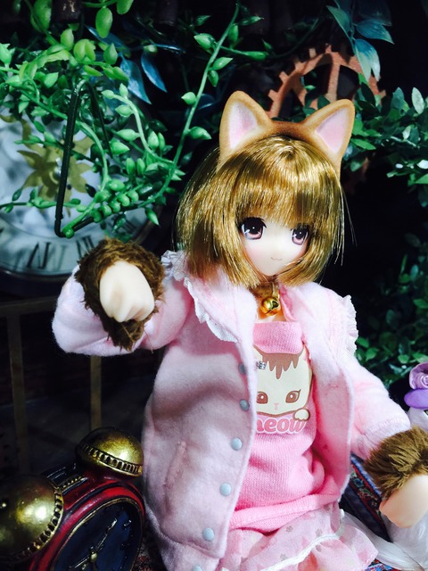 orange_pekoe_3_2020_2_21_IMG_3221